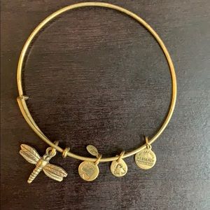 Alex and Ani dragonfly bracelet